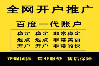 网络推广竞价策略解析与应用案例